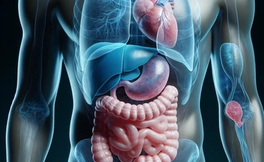 Tumore al colon, crollo del rischio: cosa mangiare ogni mattina
