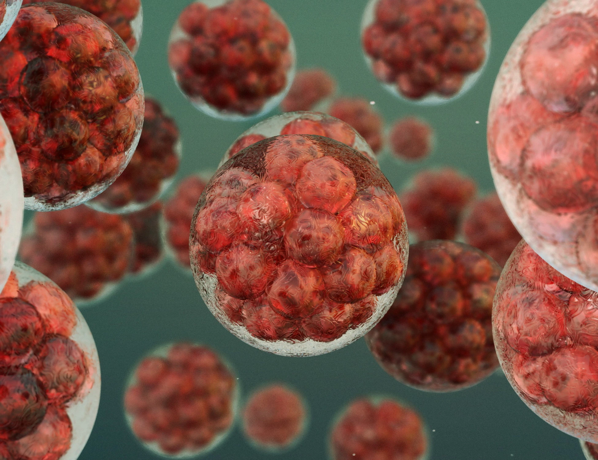 Cancro, l'allarme di David Quammen: "Presto trasmissibile come un virus"