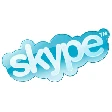 Skype all'asta online