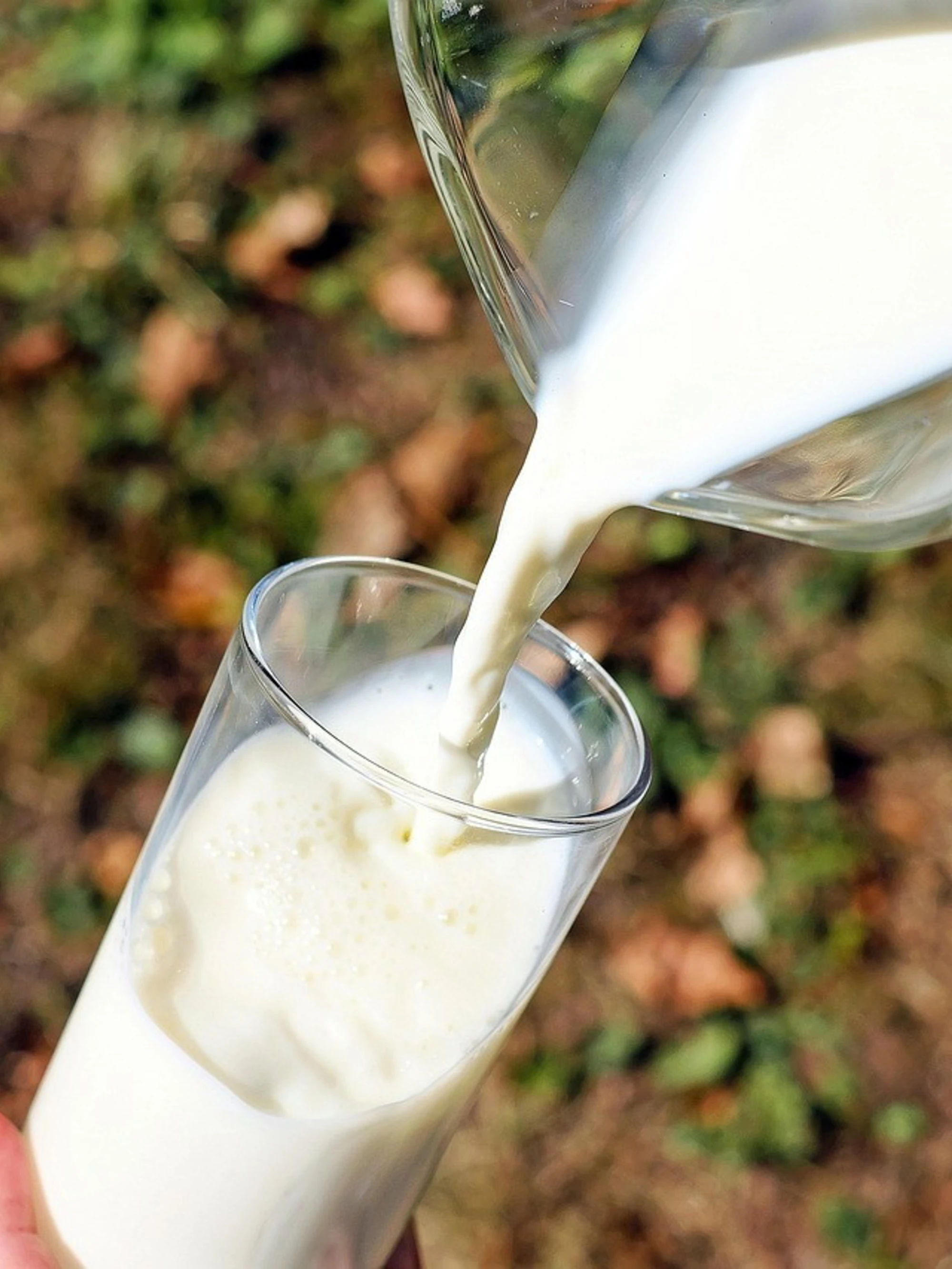 Latte ritirato, "corpi estranei": allarme in Italia, ecco il marchio