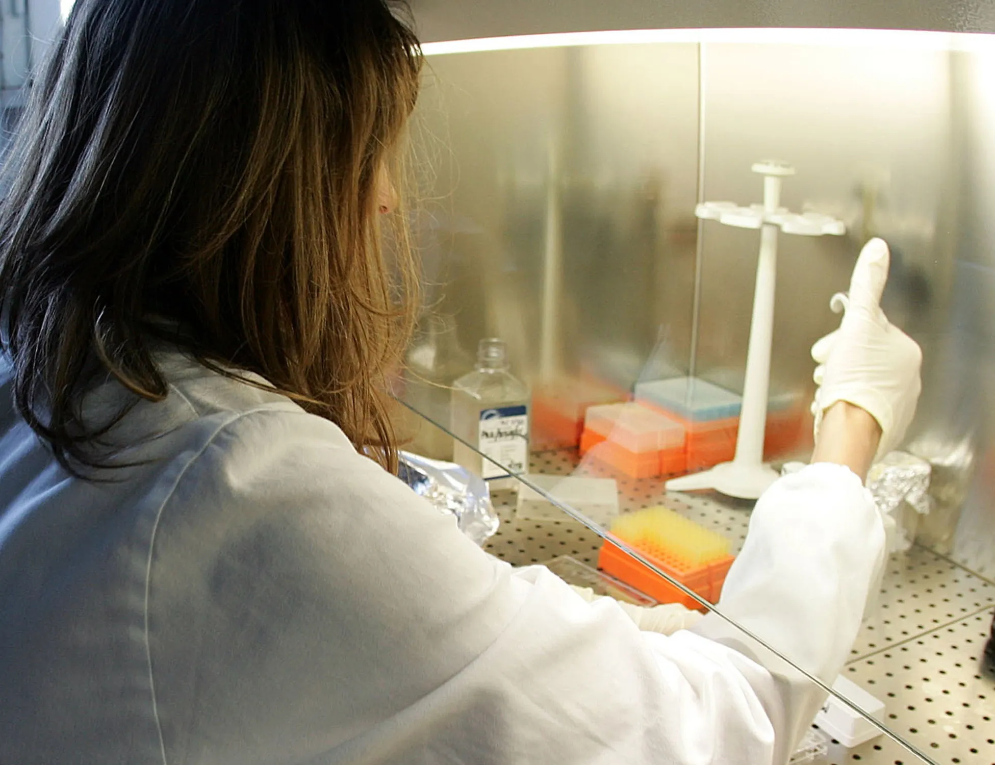 Leggi l'articolo: Aviaria, in Lombardia il primo caso su un uomo in Europa