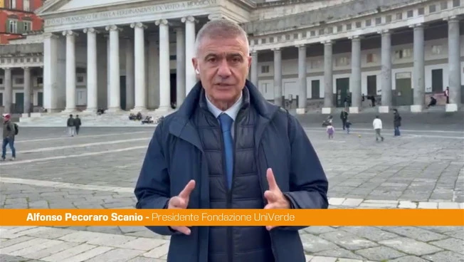 Legge elettorale, Pecoraro Scanio "Una petizione civica per le preferenze"