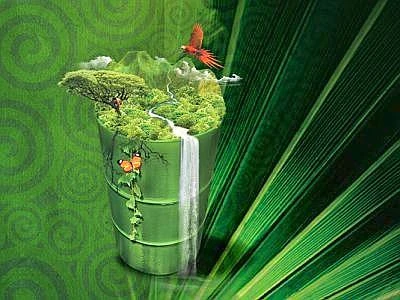 Estrazioni petrolifere nel Parco Yasunì in Ecuador, contraria la Germania