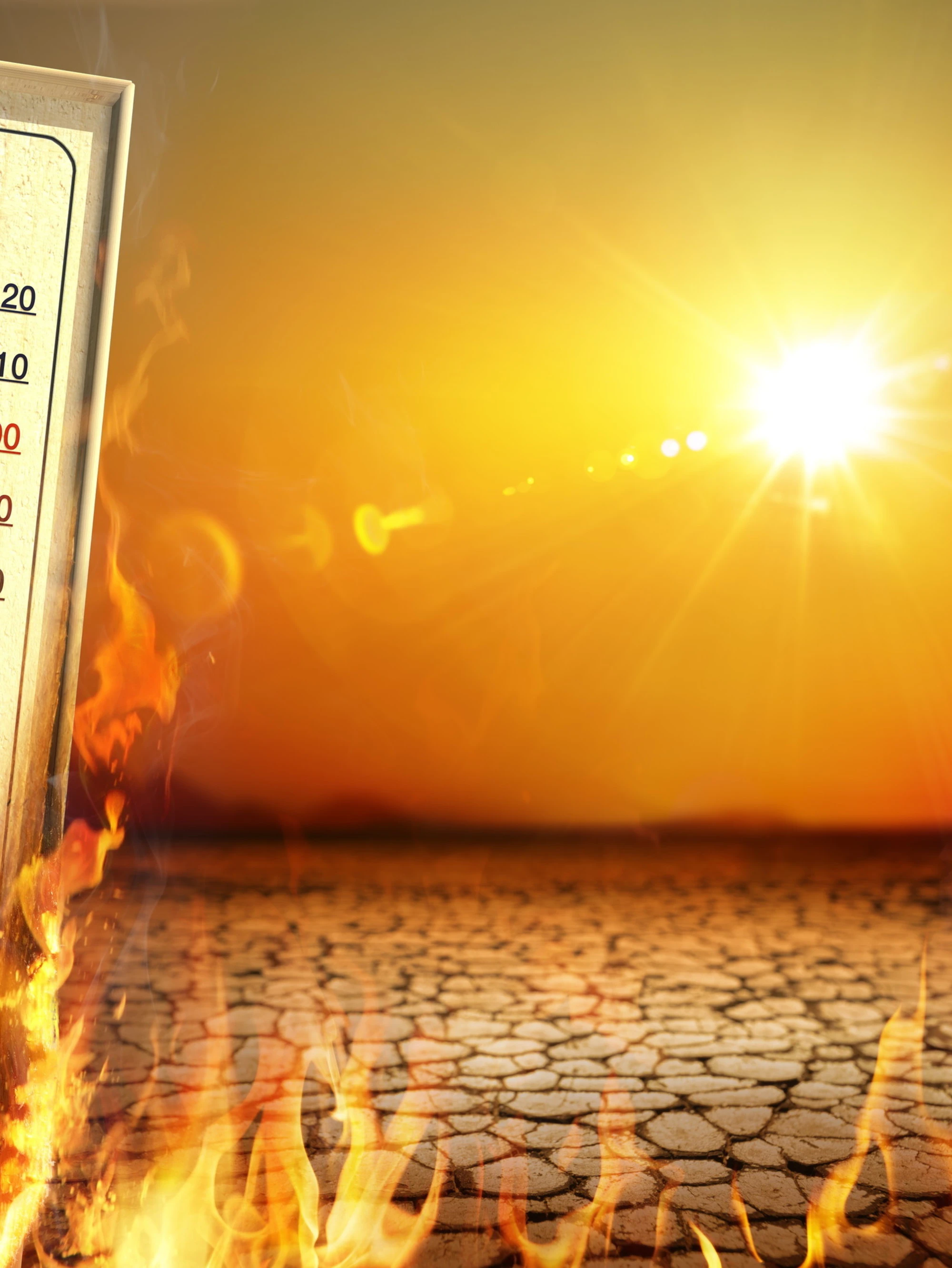 Meteo, "punte di 40 gradi": sempre peggio, ecco quando