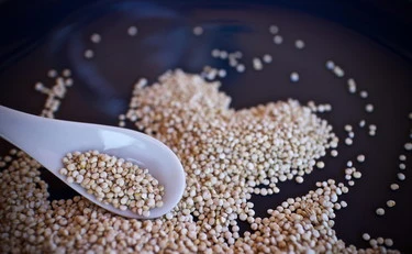 L'enigma quinoa, lo pseudocereale che non sa di nulla