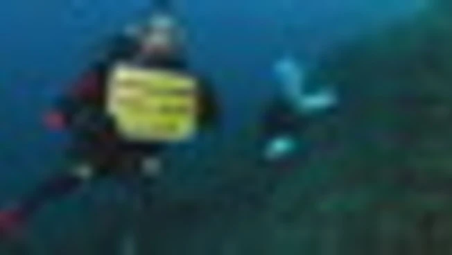 Greenpeace: mari italiani piÃ¹ caldi, danni ai fondali