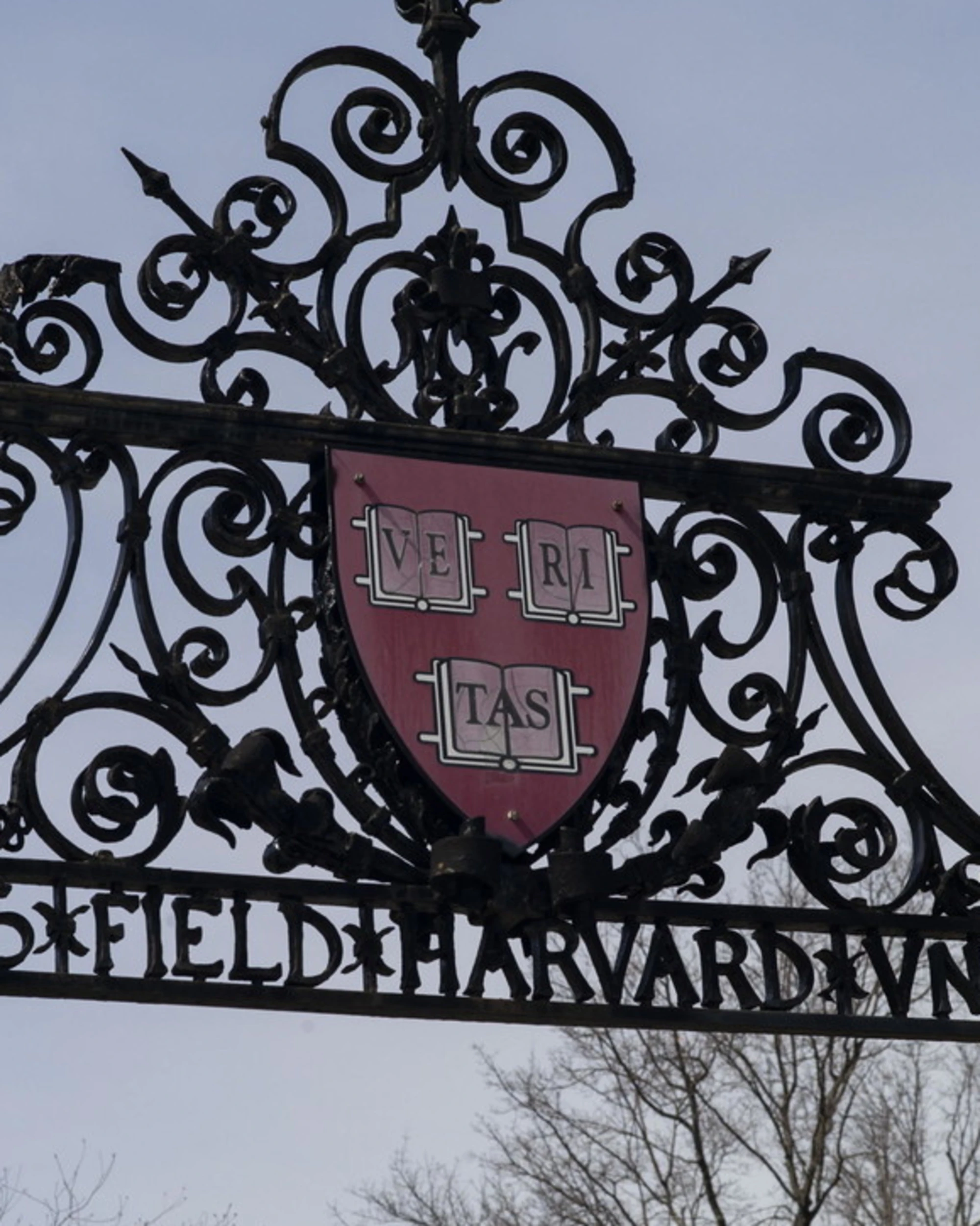 Donald Trump, la mossa senza precedenti su Harvard: "Stop agli stranieri"