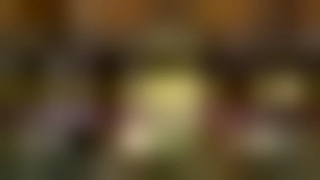 https://media.liberoquotidiano.it/XdPHcknqaCGMscv3r74S3qfEigNbr0x2daGqjHj6BxQ/width:800/quality:90/aW1hZ2VzLzIwMjUvMTAvMjIvMDgzMDE2ODk5LTlmMzhmNjc2LTBkNmMtNGFlNi1hN2Q5LTQyM2EyNjM2ODI5Ni5qcGc.webp