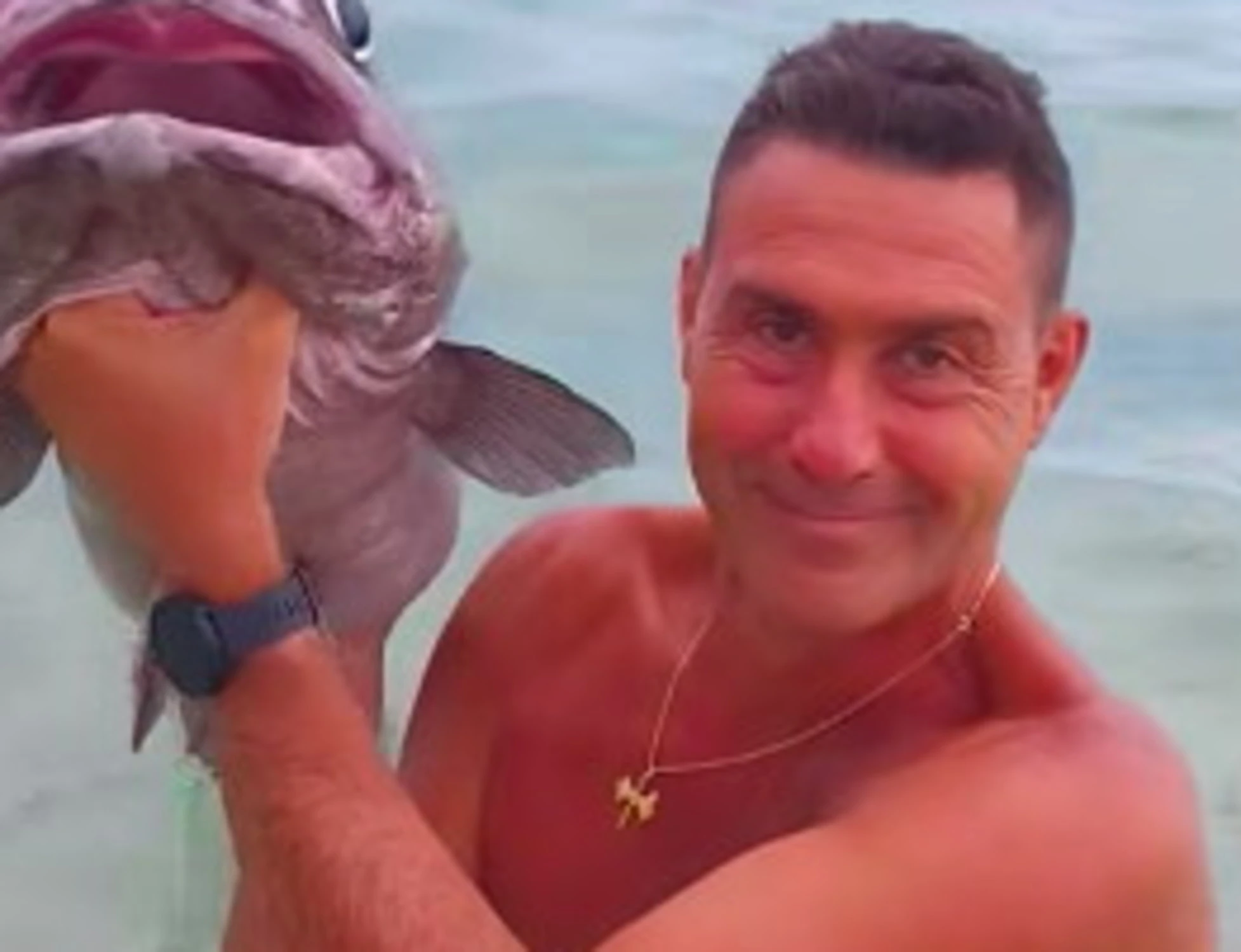 Vannacci, "la faccia della sinistra": opposizioni azzerate