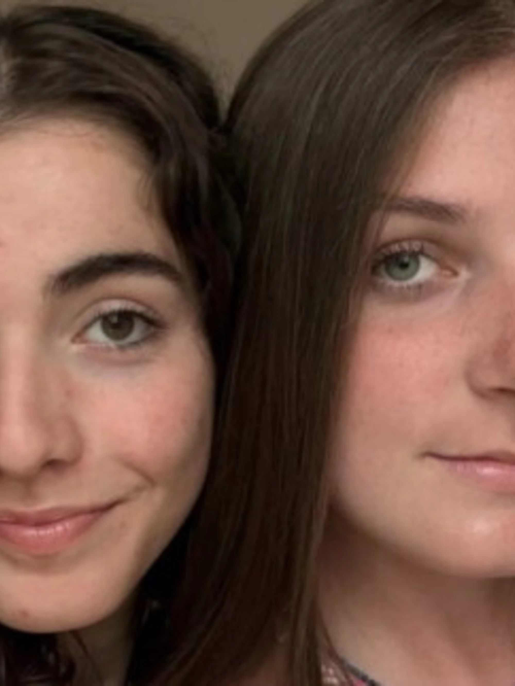 Brivio, Milena e Giorgia travolte e uccise da un furgone: chi c'era alla guida