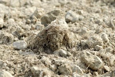 L'agricoltura ai tempi dei cambiamenti climatici, in Italia 14 miliardi di danni tra 2003 e 2011