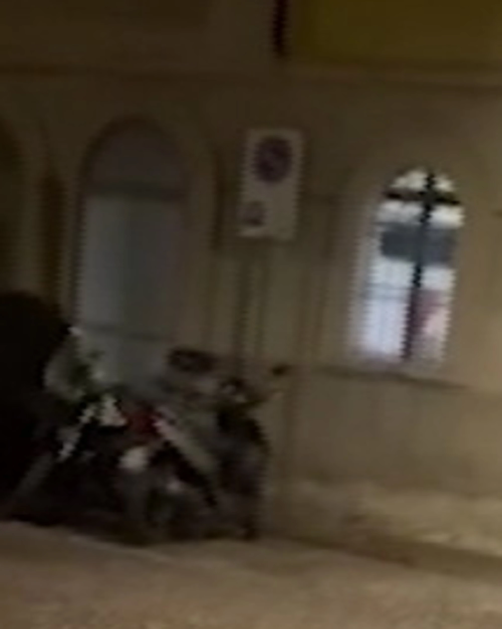 Parma, i cori sul Duce? La Procura apre un fascicolo: "Verificare"