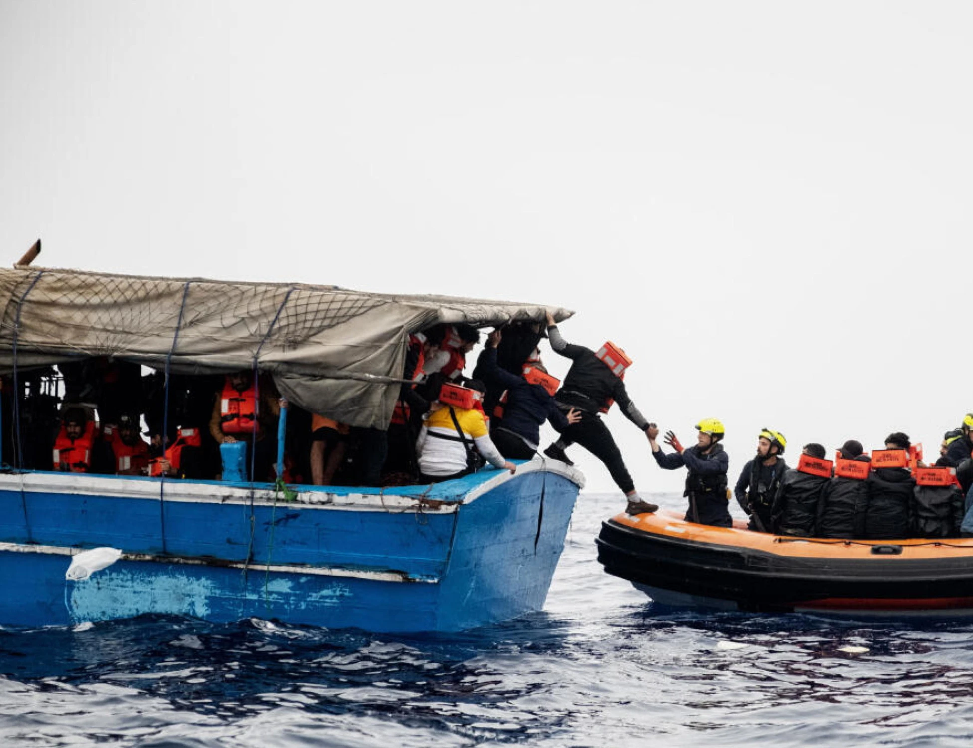 Calabria, tre stranieri arrestati e poi assolti dalle toghe: di cosa erano accusati, altro affronto al governo?