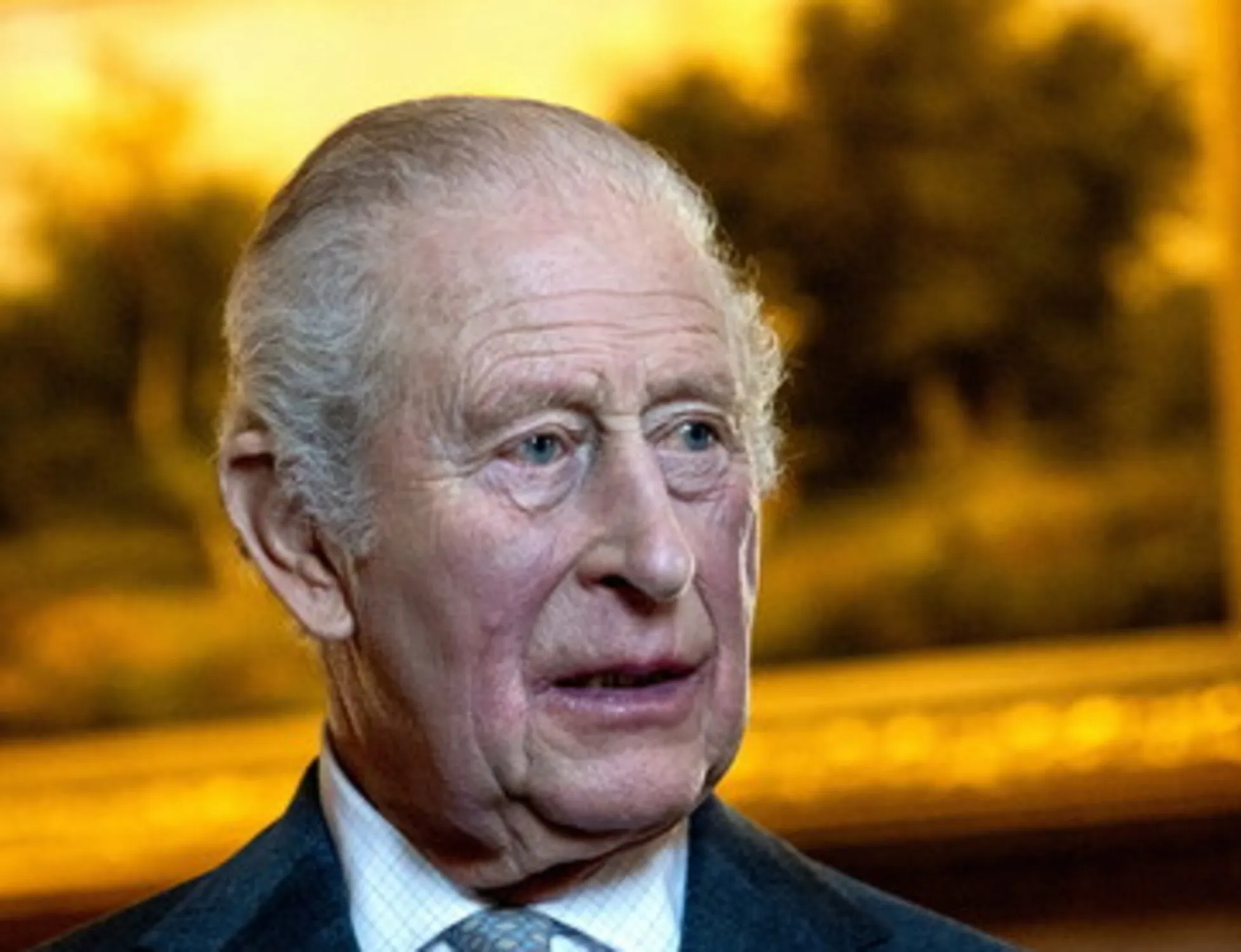 Leggi l'articolo: "Pronti ad aiutare la polizia": re Carlo scarica Andrea