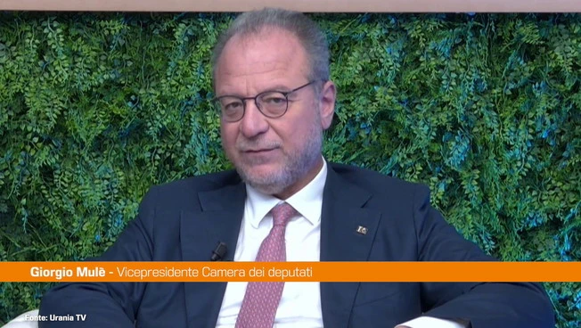 Malattie renali croniche, Mulè “Serve emendamento per finanziare screening"