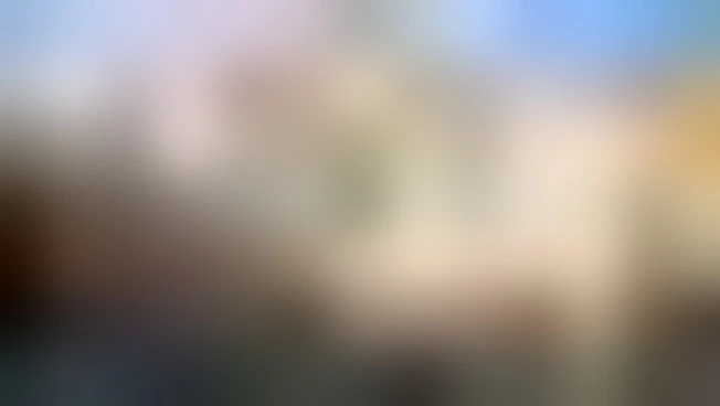 Fa discutere il ticket di due euro per Fontana di Trevi: "Eccessivo"