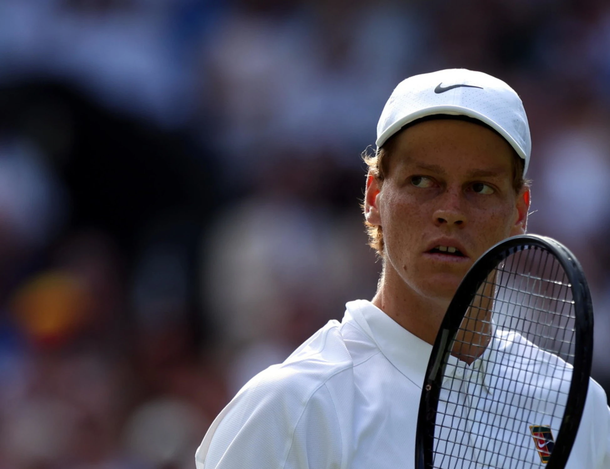 Jannik Sinner, clamoroso: Novak Djokovic rinuncia a Cincinnati