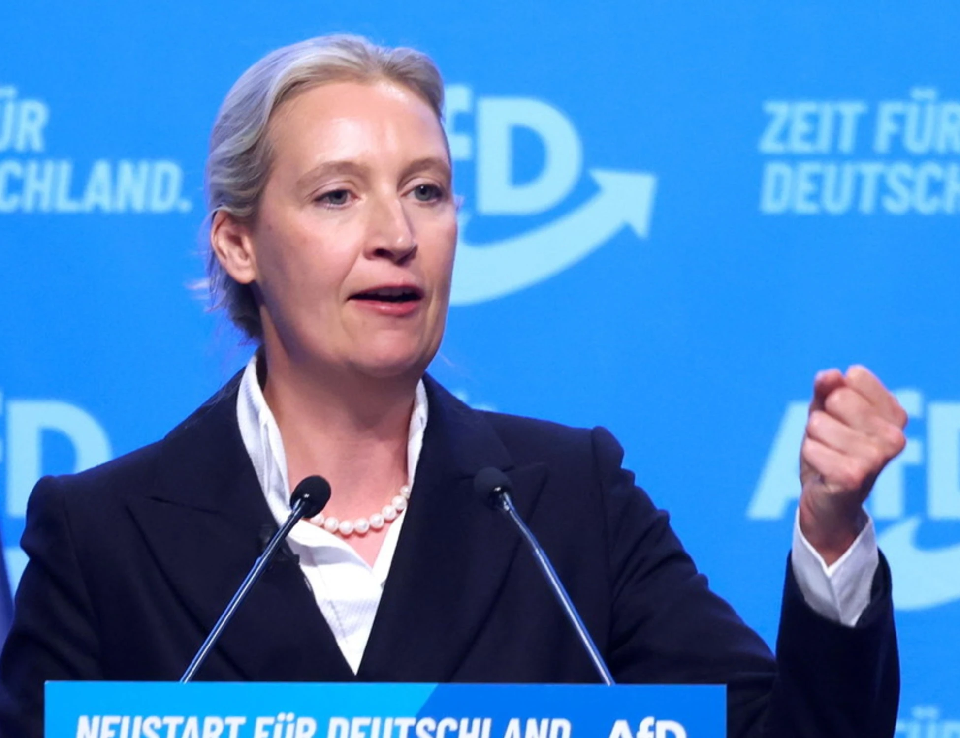 Germania, chi dà soldi e voti ad AfD: un terremoto politico