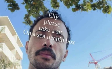 Elly Schlein, 