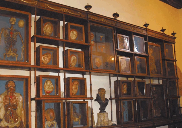 Certi strumenti medici sono capolavori