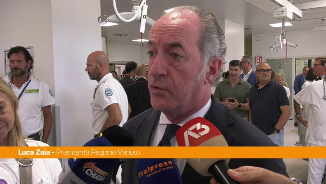 Zaia o morebitni državljanski listi: To ni križarska vojna, odločitev je na kandidatu