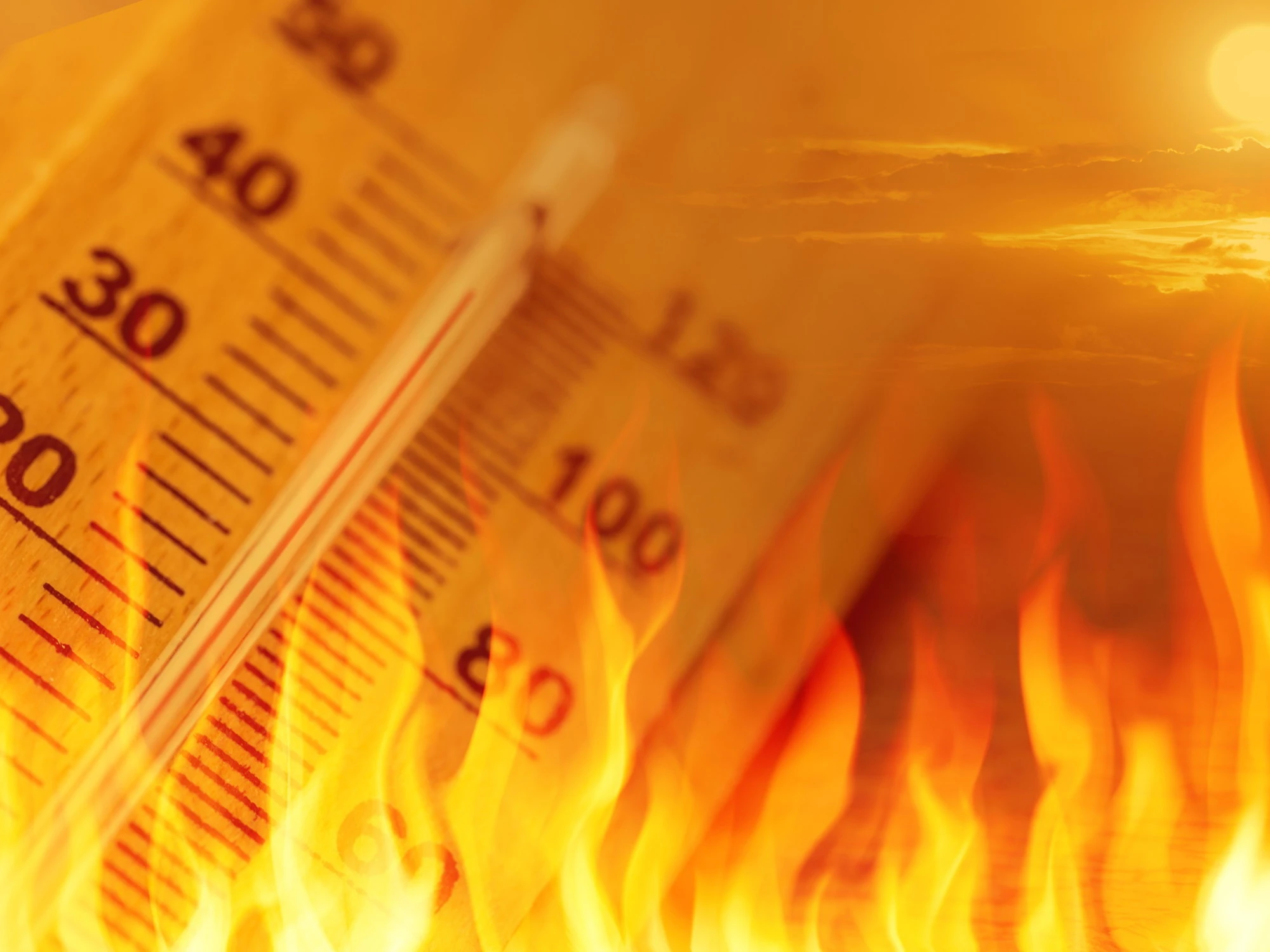 Meteo, "come nel 2003": previsioni-choc, ecco che cosa ci aspetta