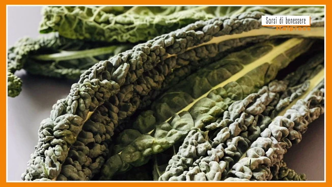 Sorsi di Benessere - Una crema di cavolo nero e ceci