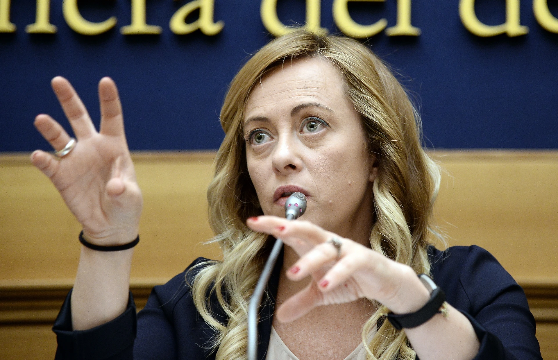 Giorgia Meloni: "Sì al decreto sicurezza ma non sarò la ruota di scorta di Matteo Salvini"