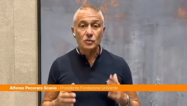 Pecoraro Scanio "Più fondi e investimenti pubblici per startup, giovani e AI"