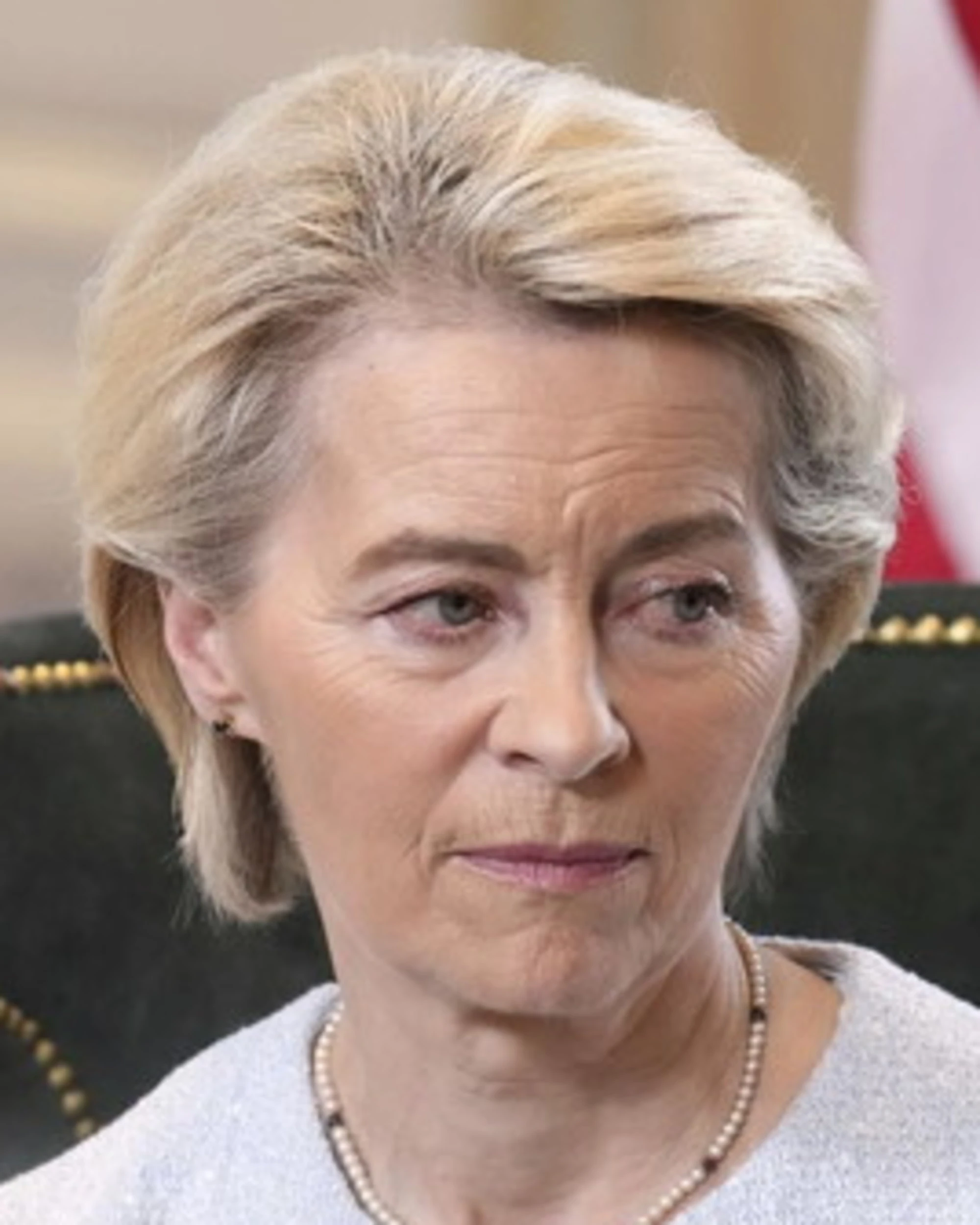 Ursula Von der Leyen, "Una monetina sotto lo schiacciasassi": chi la umilia