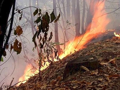 Italia in fumo, nel 2012 oltre 8mila incendi