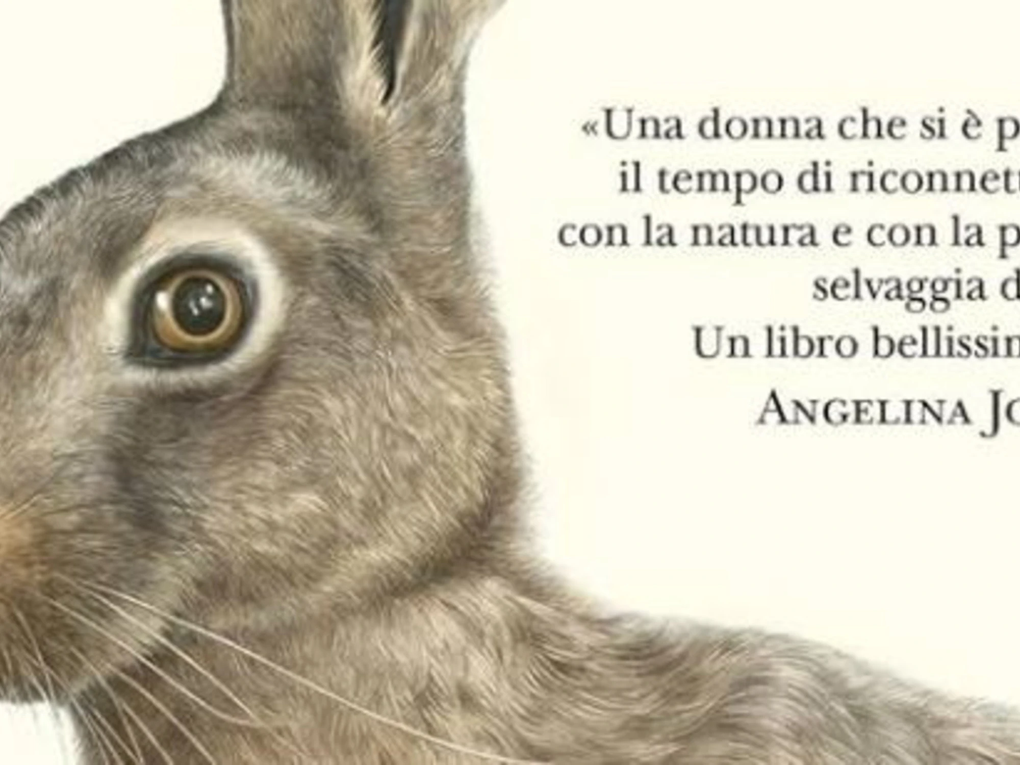 Gli animali ridisegnano il confine tra uomo e natura
