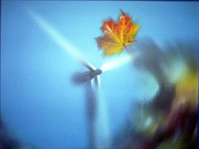 Entro il 2020 l'eolico potrebbe coprire il 12% del fabbisogno globale