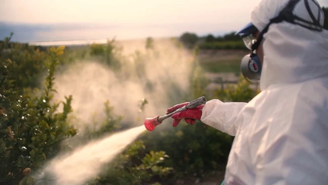 Pesticidi, ricercatori contro la semplificazione delle autorizzazioni