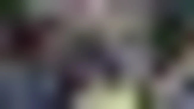 https://media.liberoquotidiano.it/YZhaUHVQeQdZm8c_ZOX3FreL8XAVTJ9-2rSPBMr3w1E/width:800/quality:90/aW1hZ2VzLzIwMjYvMDYvMjYvMDgyMTMxNjY1LWQ4YjQyM2QzLTJkZDQtNDVlMS04OWNiLWNkOGFhNDRmOWQ4My5qcGc.webp