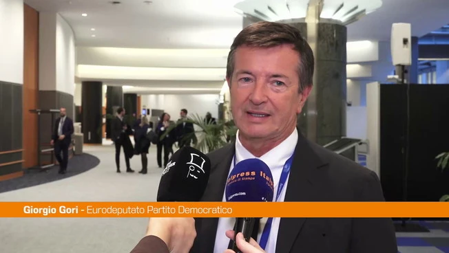 Energia, Gori "Un'Europa non autonoma è più vulnerabile"