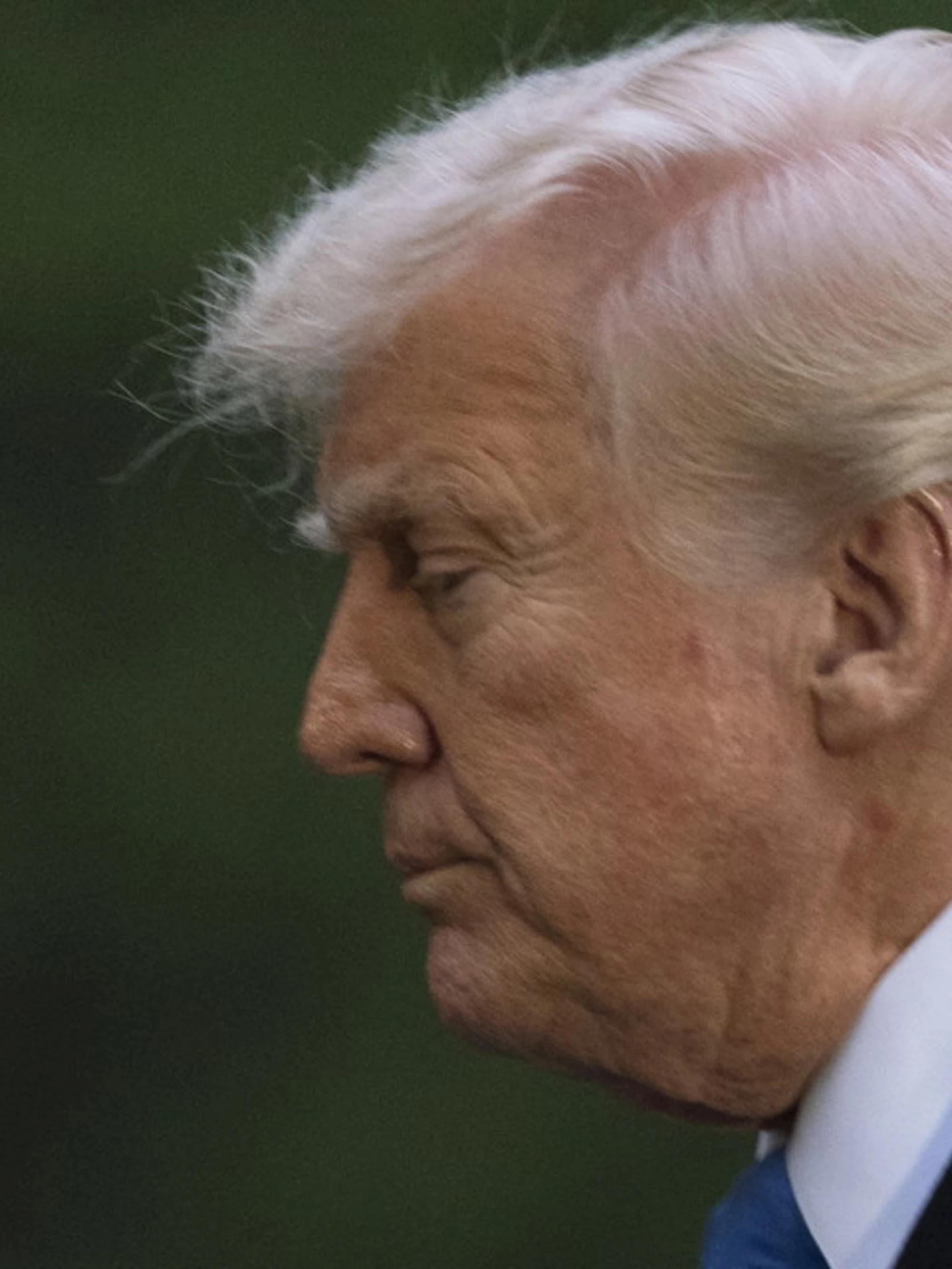 Donald Trump valuta lo stop ai dazi? Indiscrezioni e smentita