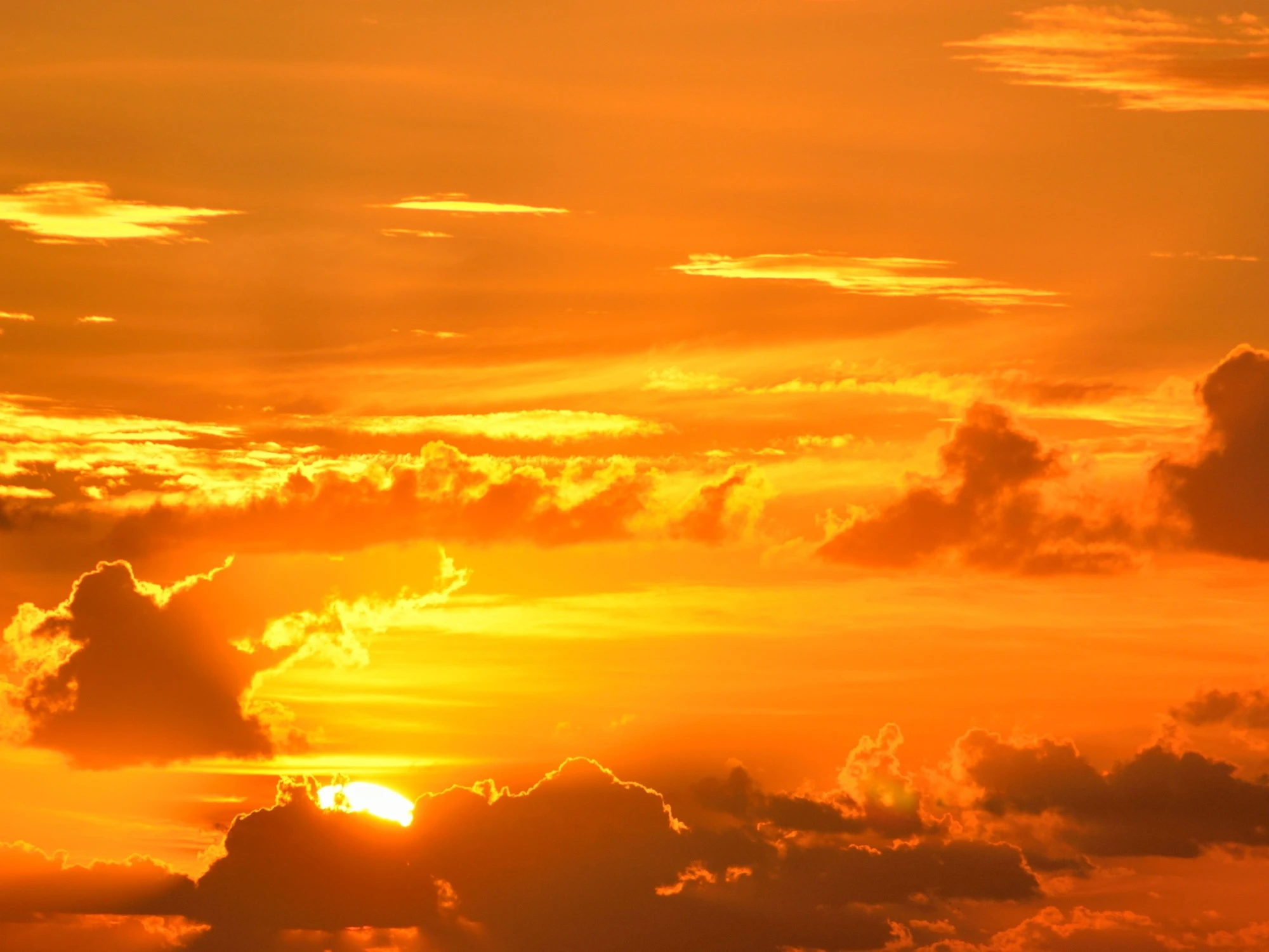 Meteo, nuova ondata di calore estremo: i giorni e le temperature