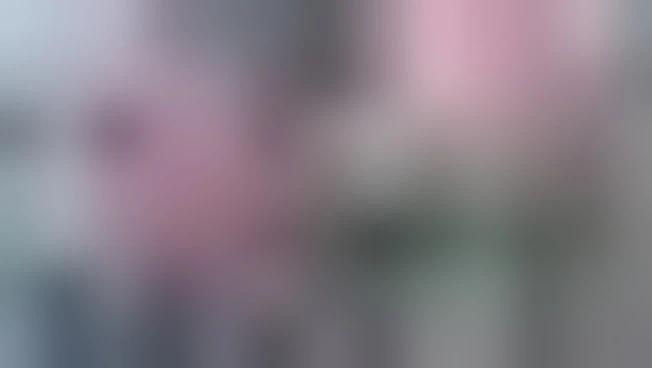 https://media.liberoquotidiano.it/YfYxBrsKDfGXEbBa-5N5kH5whghTkWiaqDc81h7q-Jk/width:800/quality:90/aW1hZ2VzLzIwMjYvMDkvMjQvMTM0NjM0Nzc4LTEwOTZhYzU2LWM5N2EtNDIzOS04MmZkLWM5ODM0YjlmZWIzZS5qcGc.webp