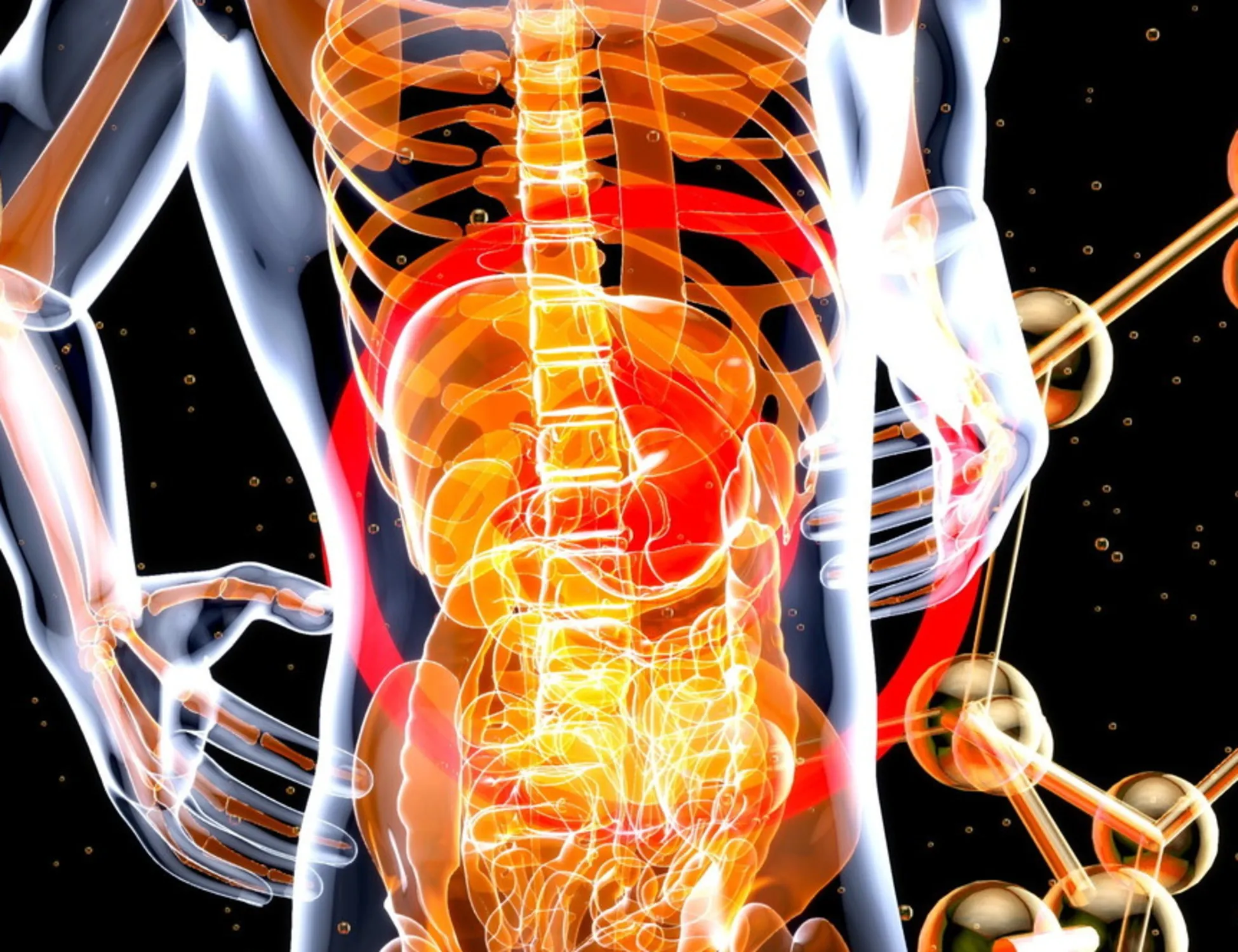 Tumore al pancreas: esami del sangue per una diagnosi prima della comparsa dei sintomi