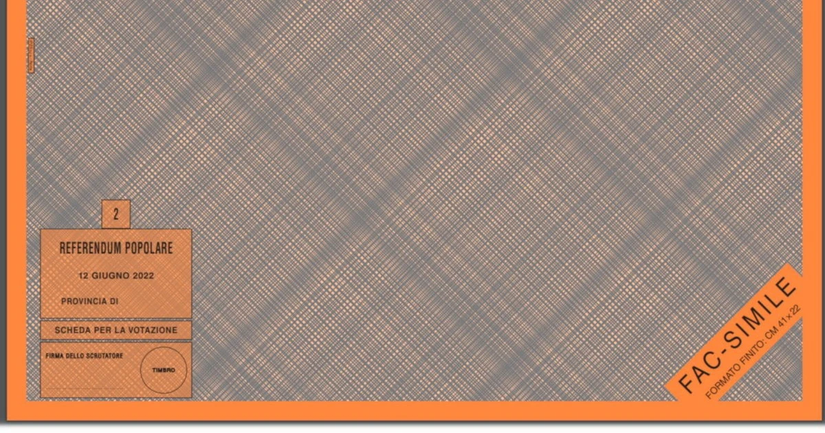1298x812