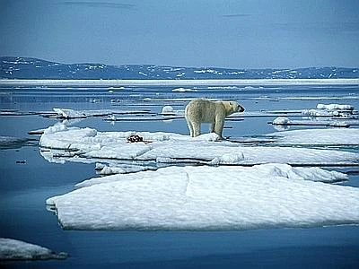 Le calotte polari si stanno sciogliendo? Pochi riscontri scientifici per affermarlo