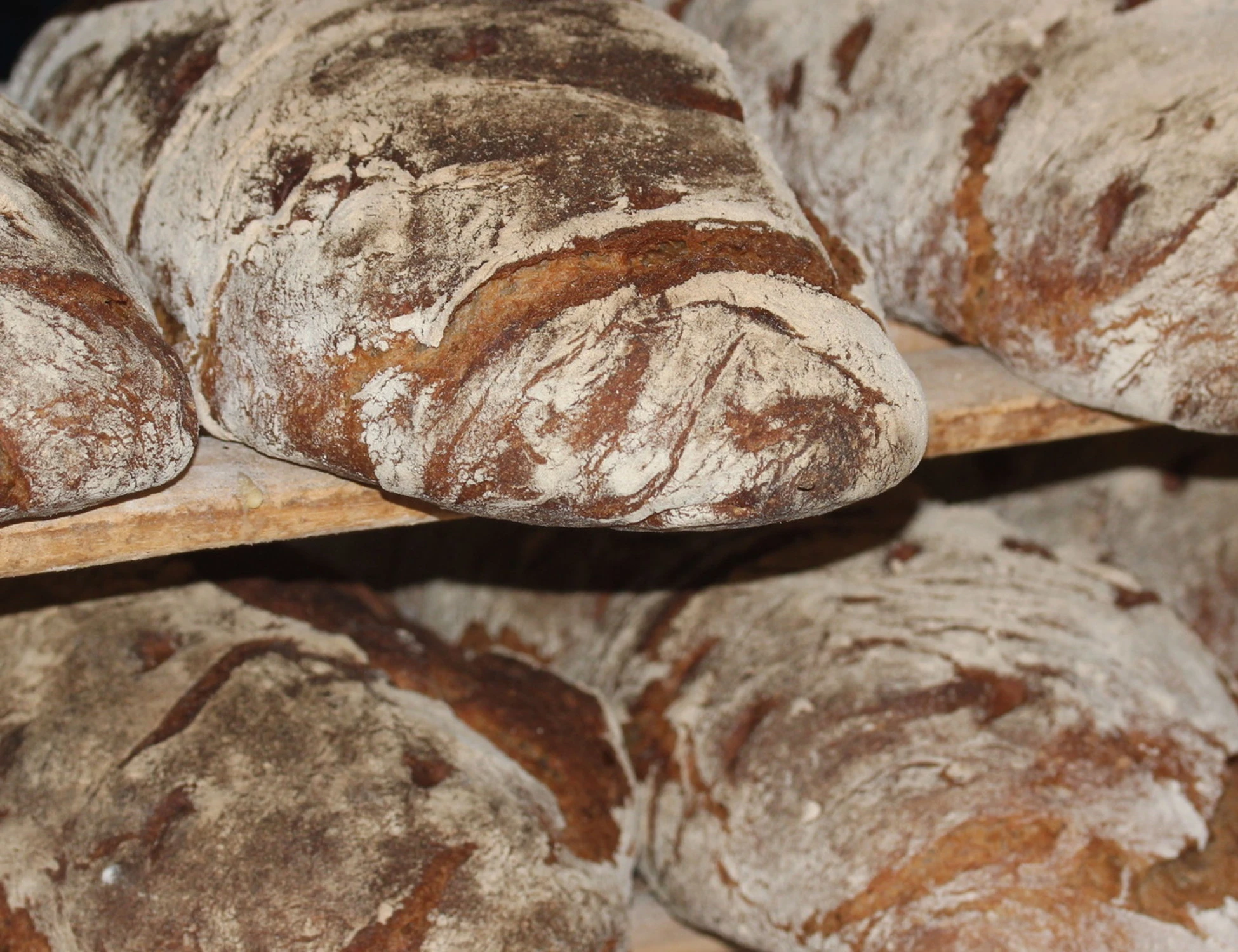 Guerra in Iran, "michette a rischio": siamo alla paranoia