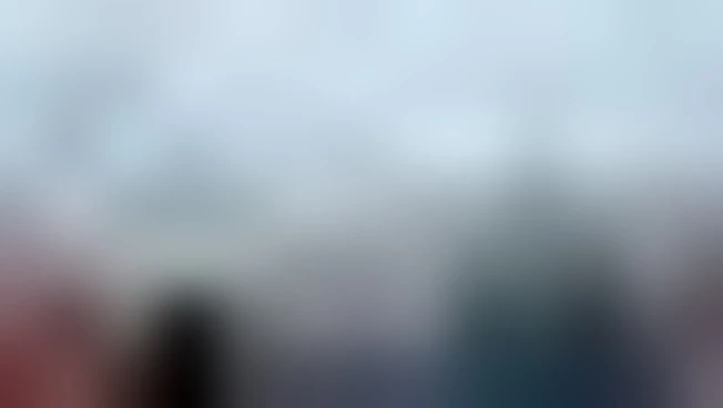 Inverno a New York, battaglia di palle di neve a Brooklyn