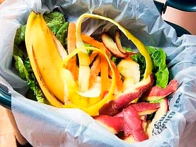 Differenziata, rifiuti organici, compostaggio: guida ai sacchetti giusti