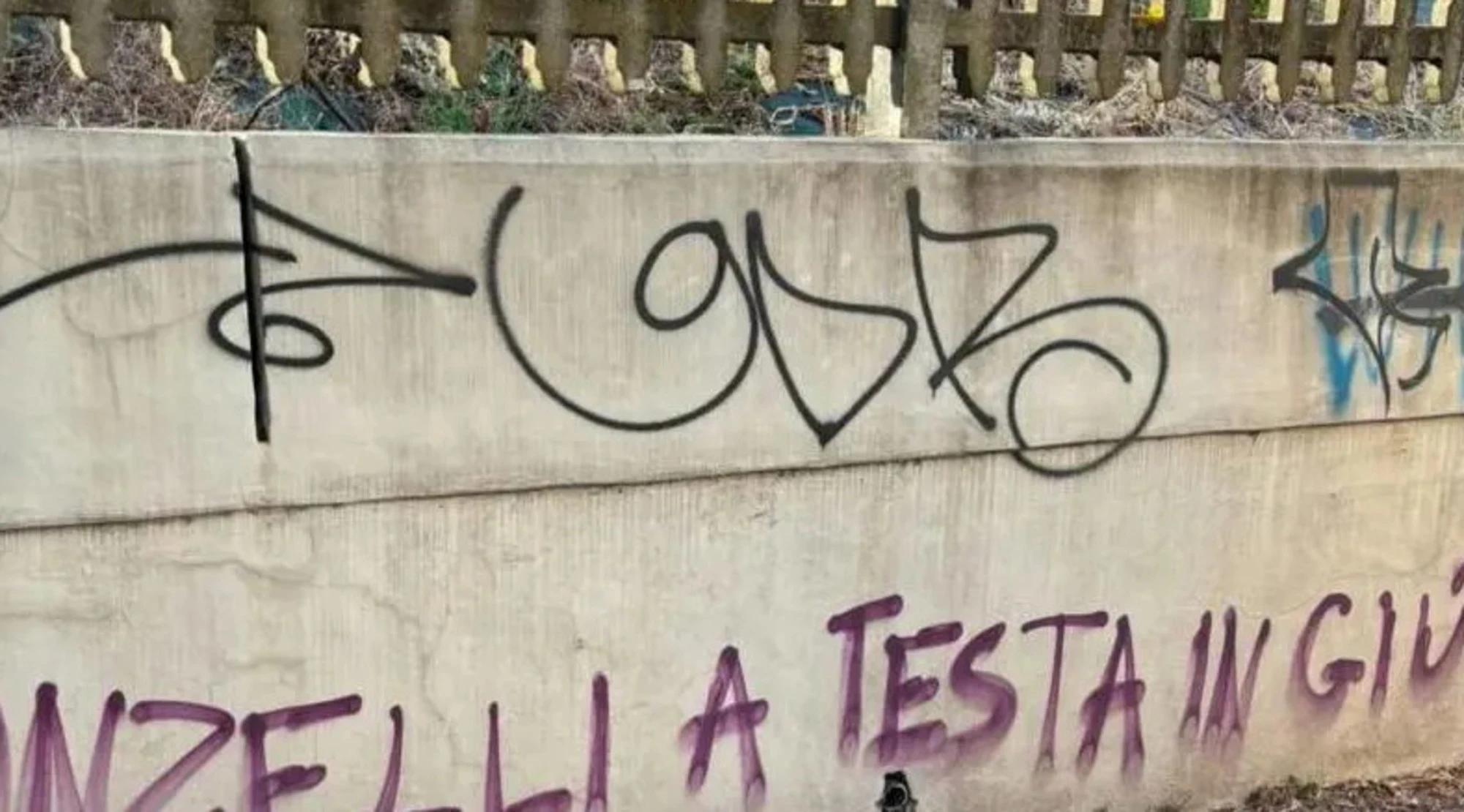 923x539