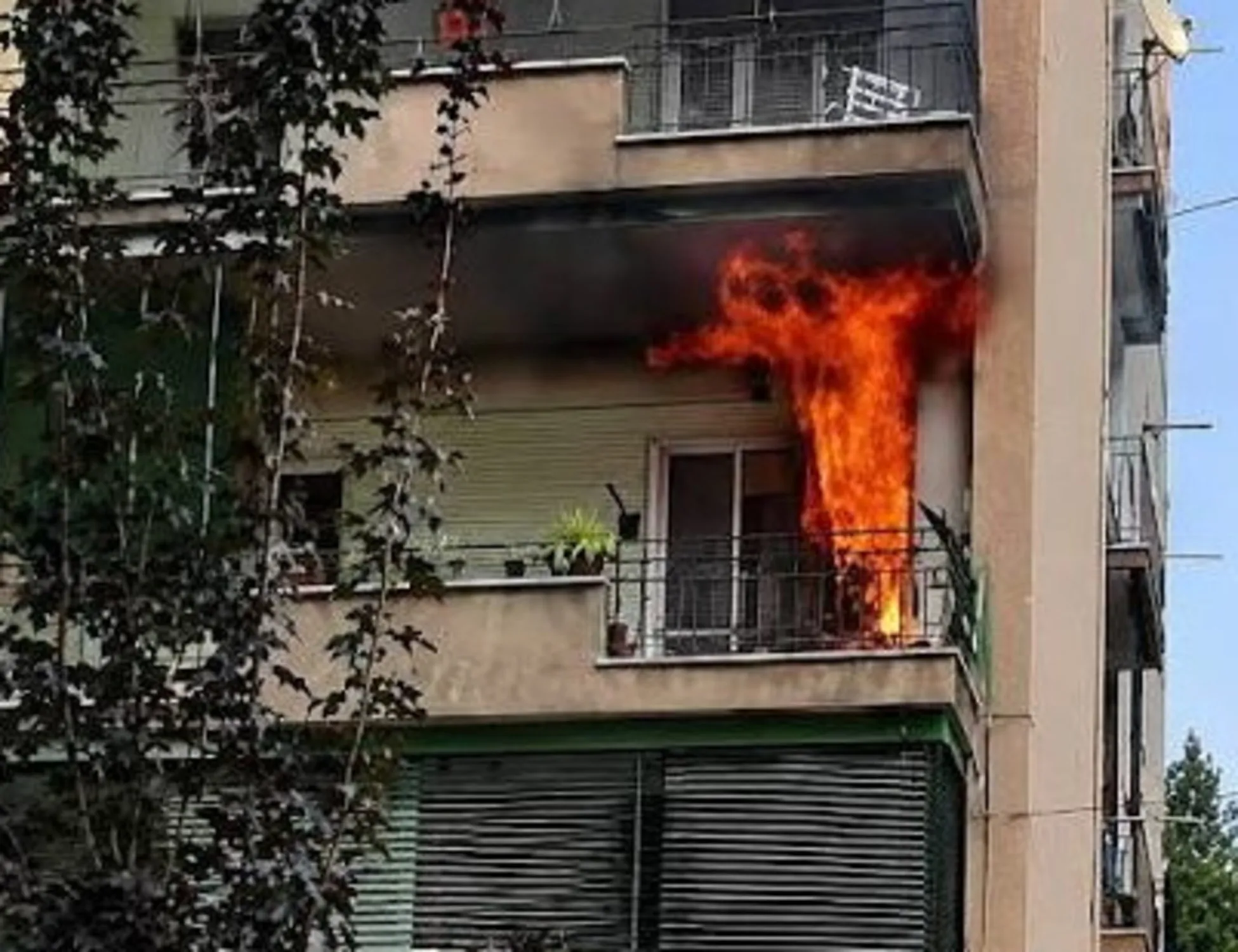 Leggi l'articolo: "Ha osservato la madre mentre moriva carbonizzata tra le fiamme"