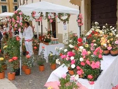 Torna a Sutri (Viterbo) la Festa della Rosa, gli incassi saranno devoluti in attività utili