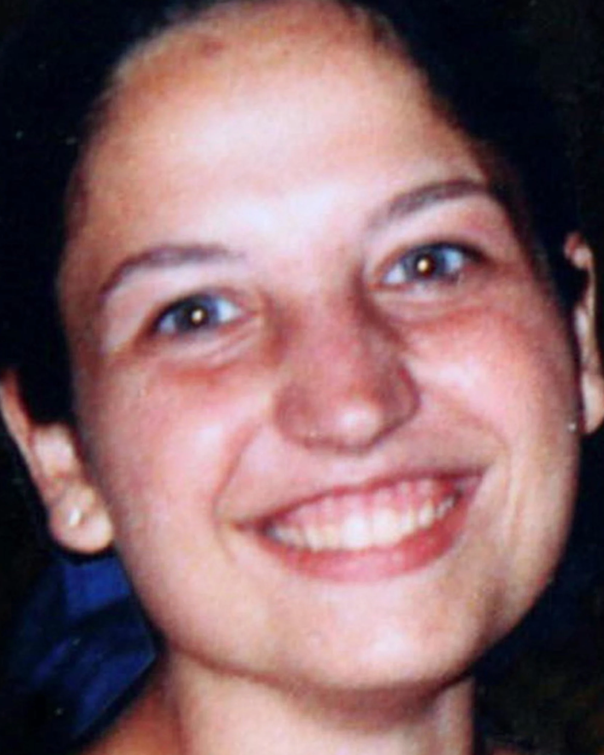 Chiara Poggi, "un solo killer e la massoneria internazionale"