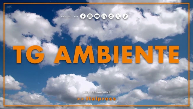 Tg Ambiente - 23/8/2026